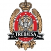 Trebjesa